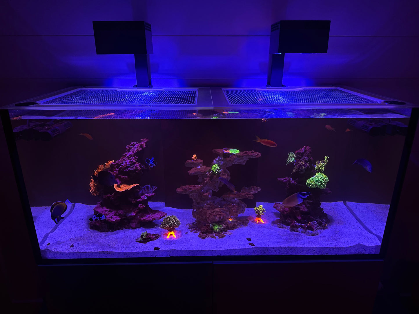 Red Sea Reefer 350 (G2)