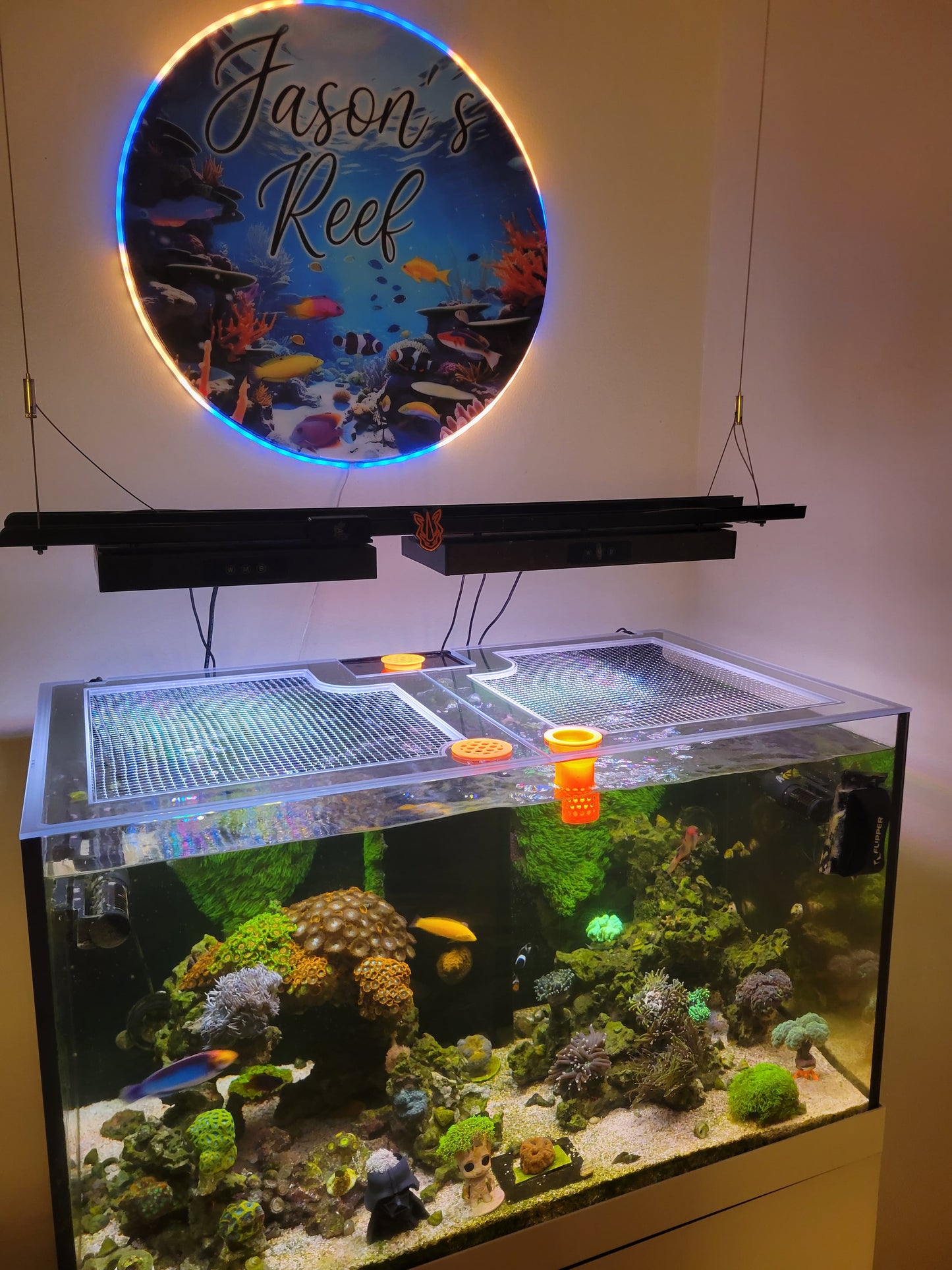 ProStar Rimless Aquarium – 90 gal