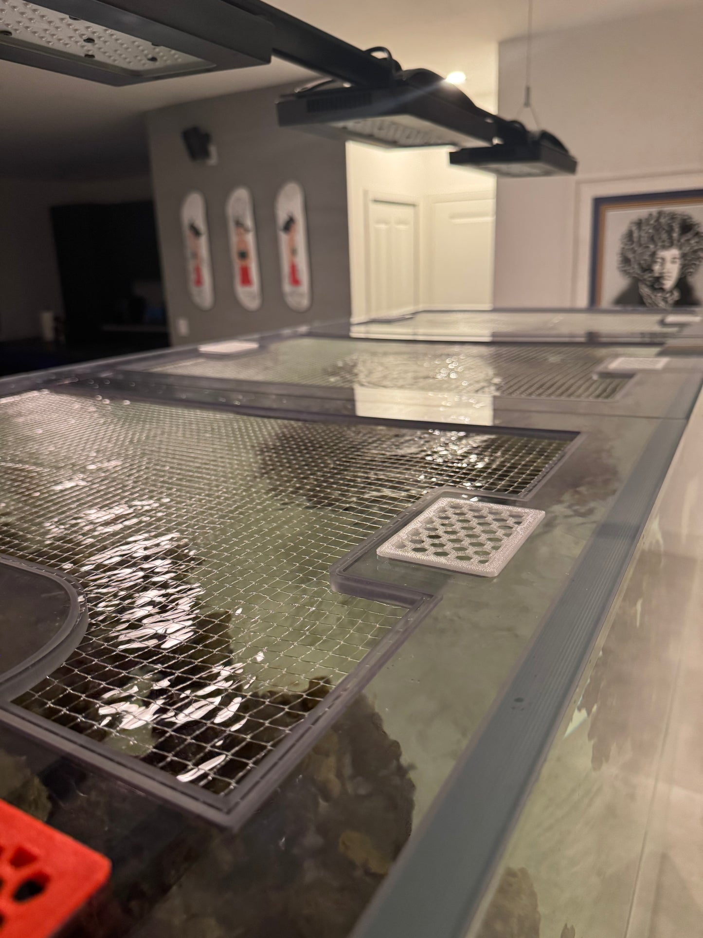 Cade Peninsula 1800 S2/P