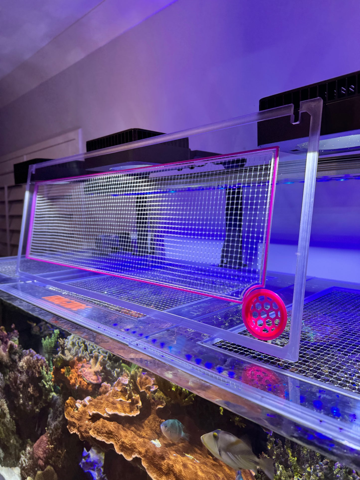 ProStar Rimless Aquarium  AIO 35