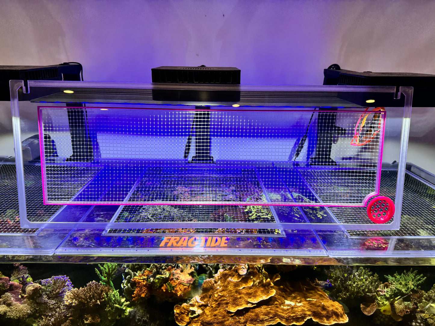 ProStar Rimless Aquarium  AIO 35