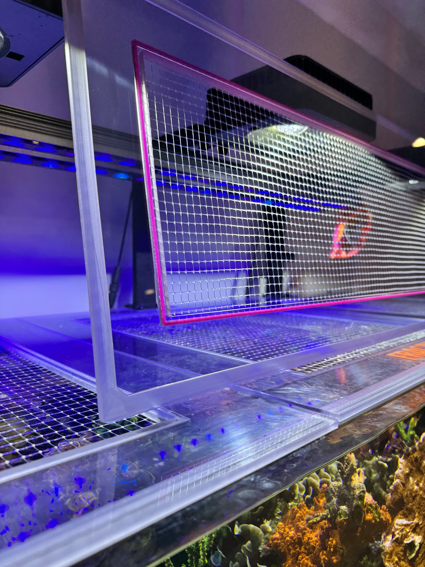 ProStar Rimless Aquarium  AIO 35