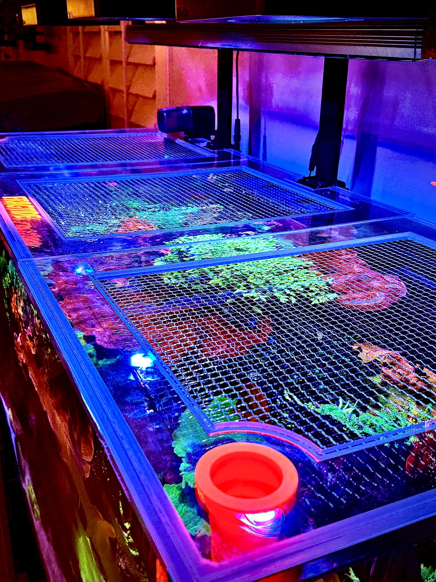 Red Sea Reefer 525XL (G1)