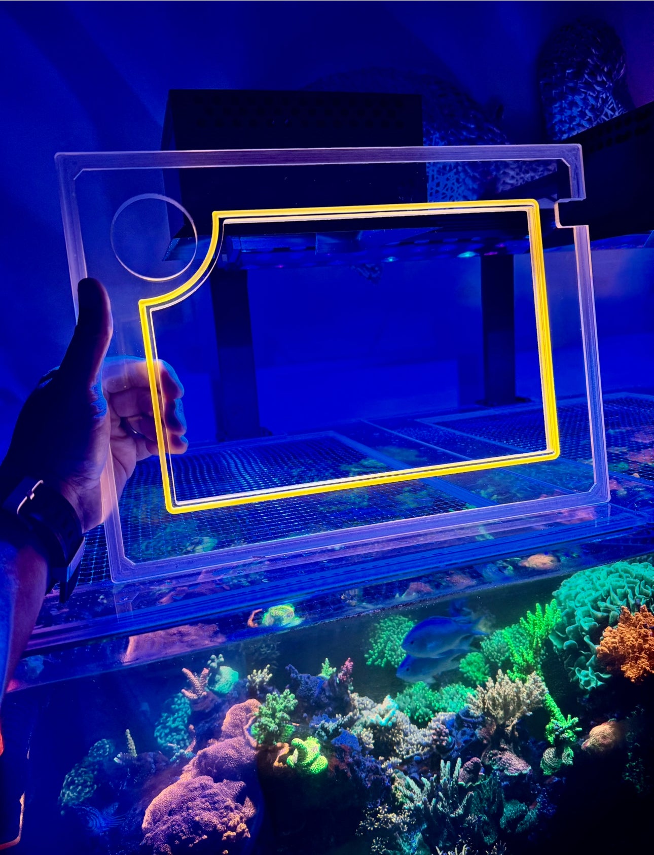 DeskMate FLORIDA Peninsula 9 Gallon